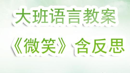 大班语言活动教案四篇