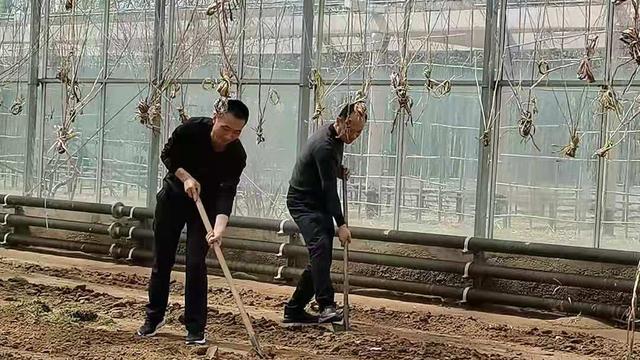 采摘园游记作文