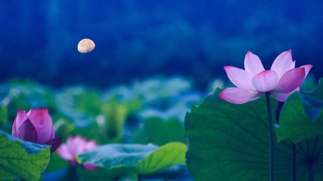 明月夜好听的诗句