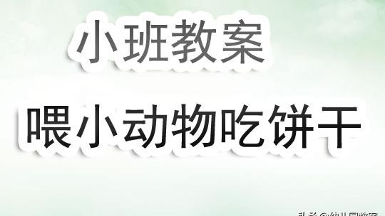 圆饼干小班活动教案