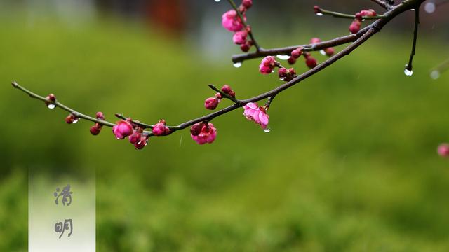 清明节网上祭奠先烈的简短句子