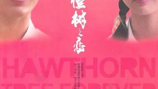 默默守护的句子