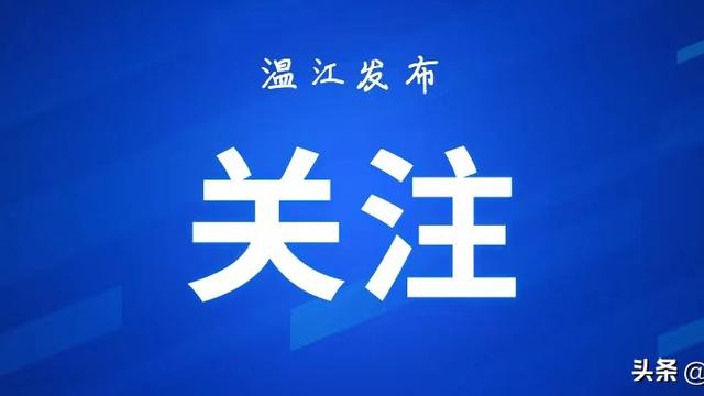 社区社会实践报告模板