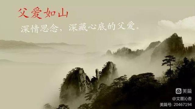 赞美父亲的精选语句