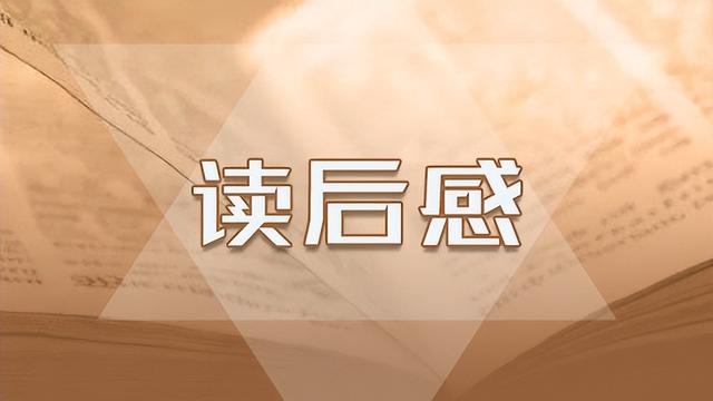 高中毕业证丢了怎么查毕业证编号查询
