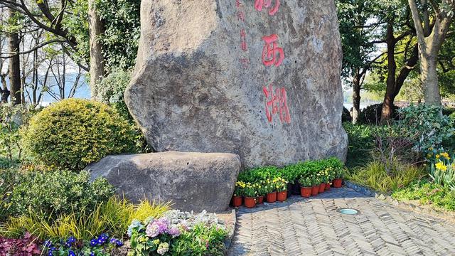 观察日记大全