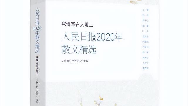 祖国和我10篇