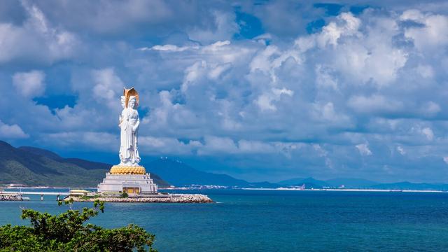 芦苇与橡树