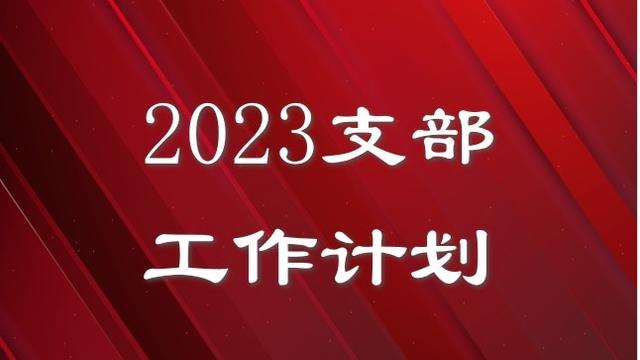 【精选】总支工作计划