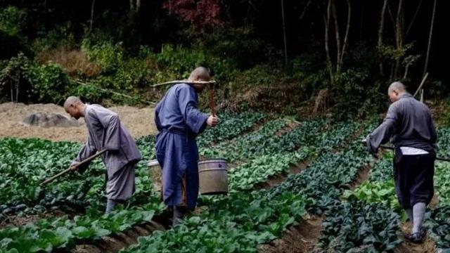 烂糊肉丝的“风骨”