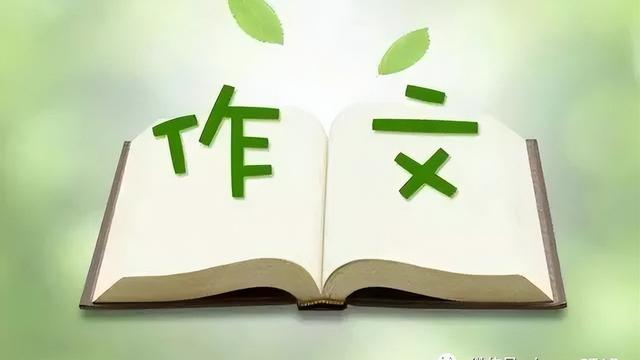 1+1作文