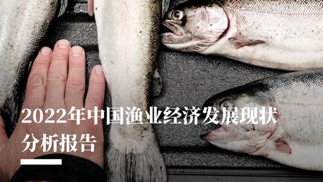 淡水渔业养殖的生产现状