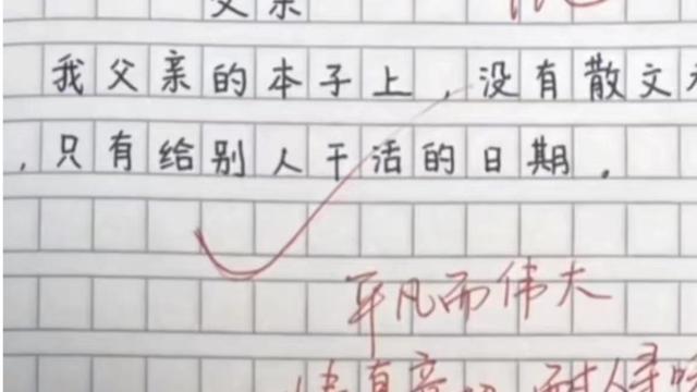 有关父爱的作文250字