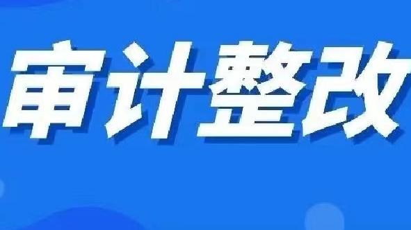 企业审计整改报告10篇