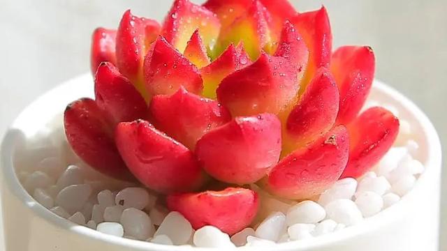 【实用】正能量励志句子锦集