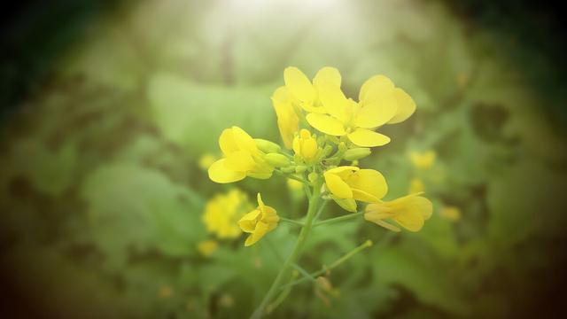 人生有太多的伤悲和无奈