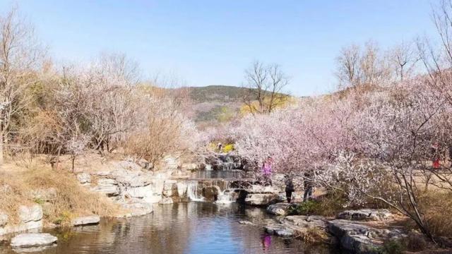 桃花醉桃花吟经典抒情散文