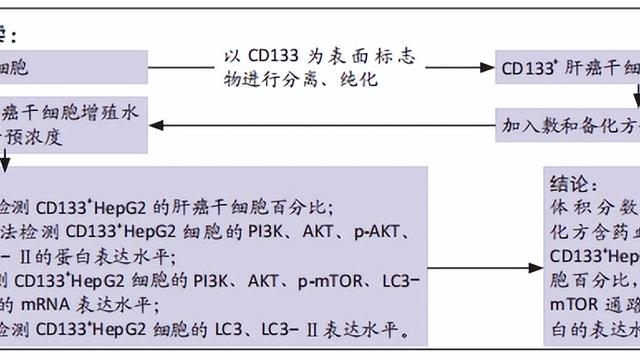 中药复方功效的研究思路及探讨方法