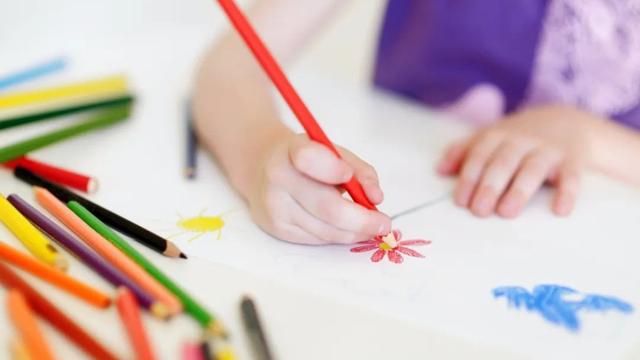 幼儿园园长培训总结 