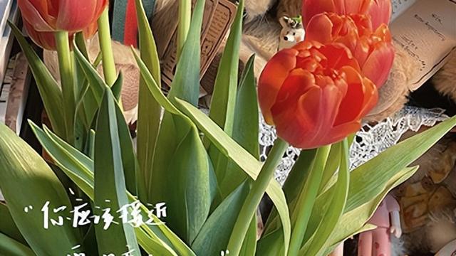 外出打工感慨的句子