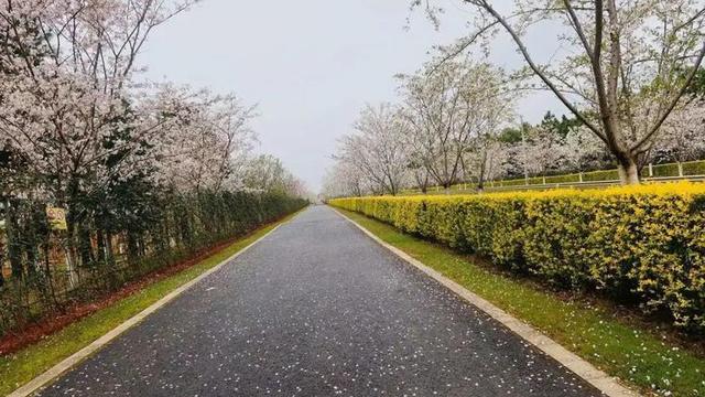 做好公路工程预算控制的对策