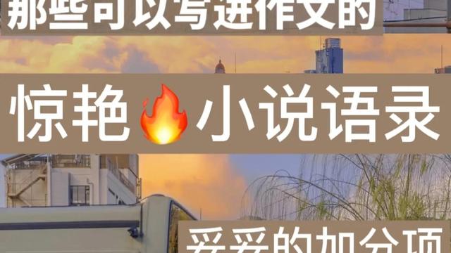 从你的全世界路过经典台词大全