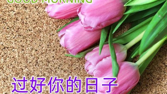 精选动人的早安微信问候语合集66条