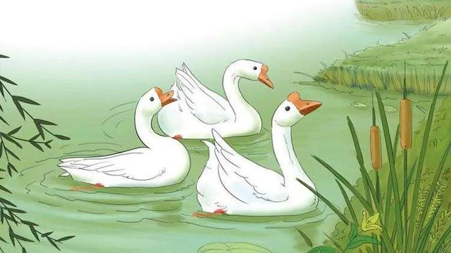 鹅鹅鹅诗歌