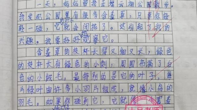 精选五年级写景作文300字汇编