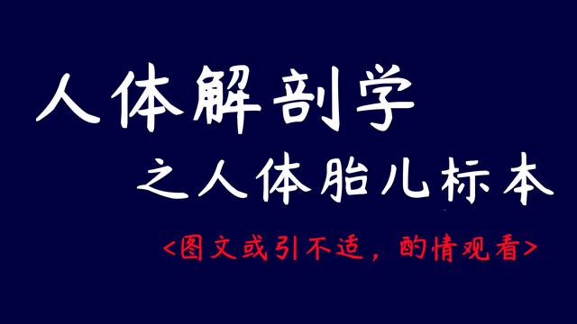 人体标本的分类及意义