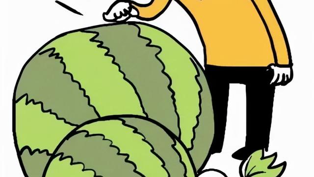 买瓜作文400字通用
