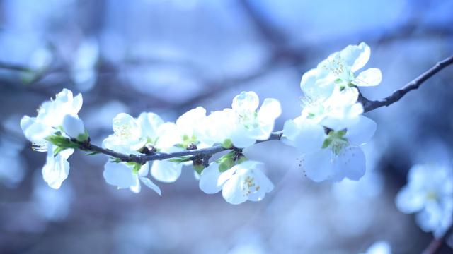 现代伤感诗词