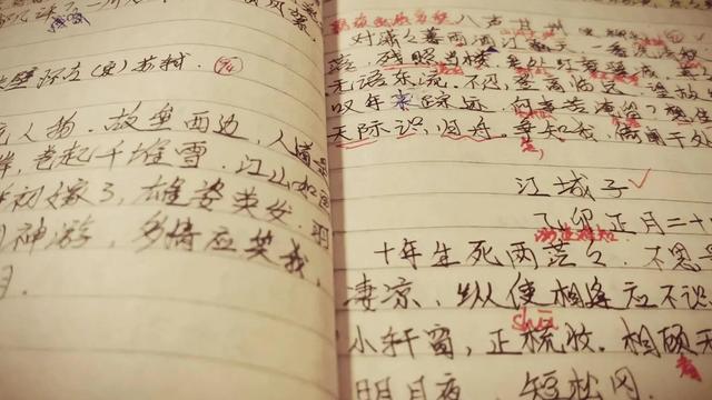 关于中国古典诗词的作文