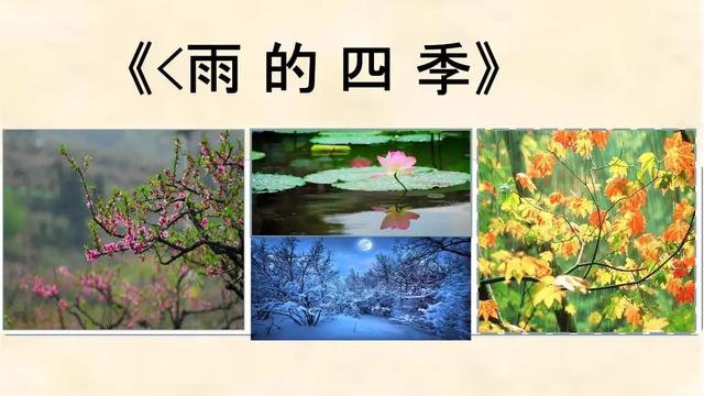 雨的作文