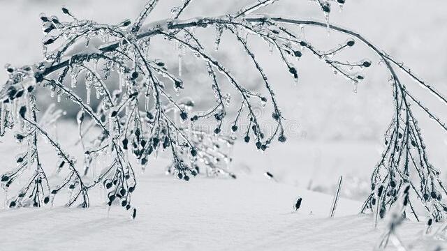 雨雪恶劣天气应急预案