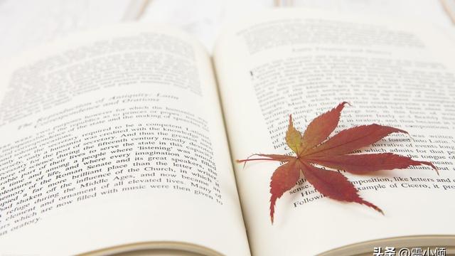【精选】三年级上册作文合集