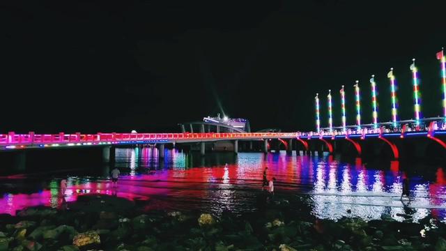 夏夜的海滨作文
