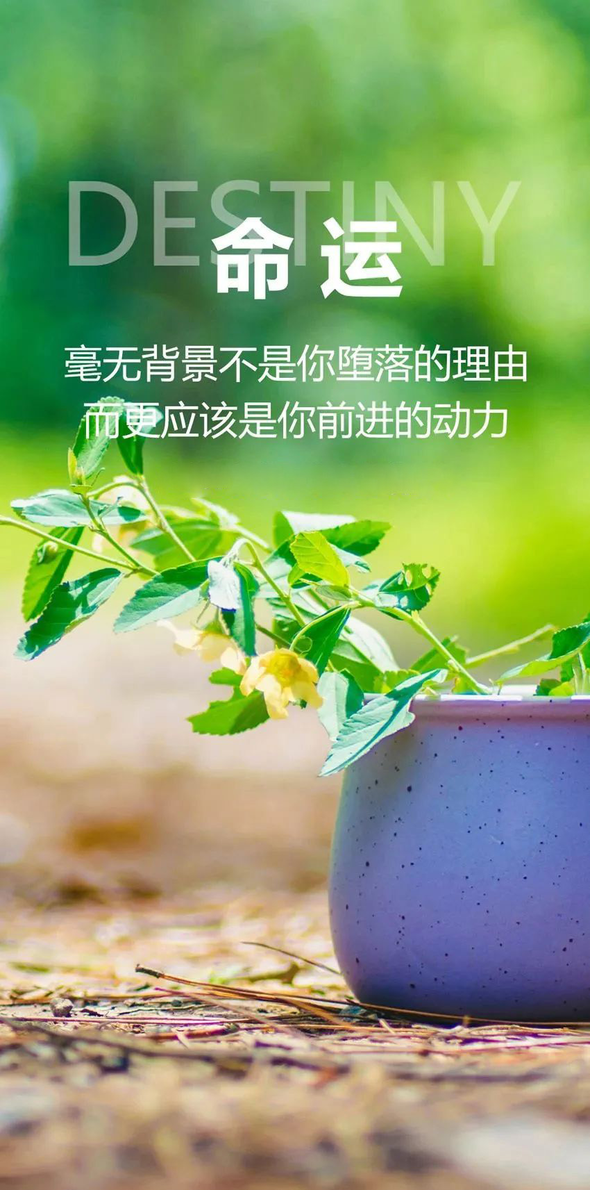 7月17日早安日签图片加字正能量：愿你一往无前，愿你脚步坚定