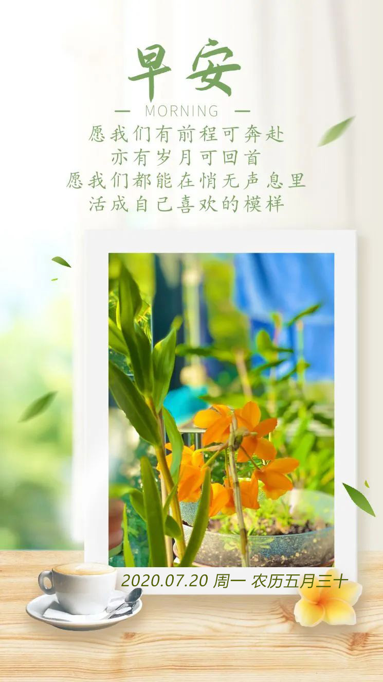 7月20新周周一早安正能量问候语句：自信开放，世界便在你脚下