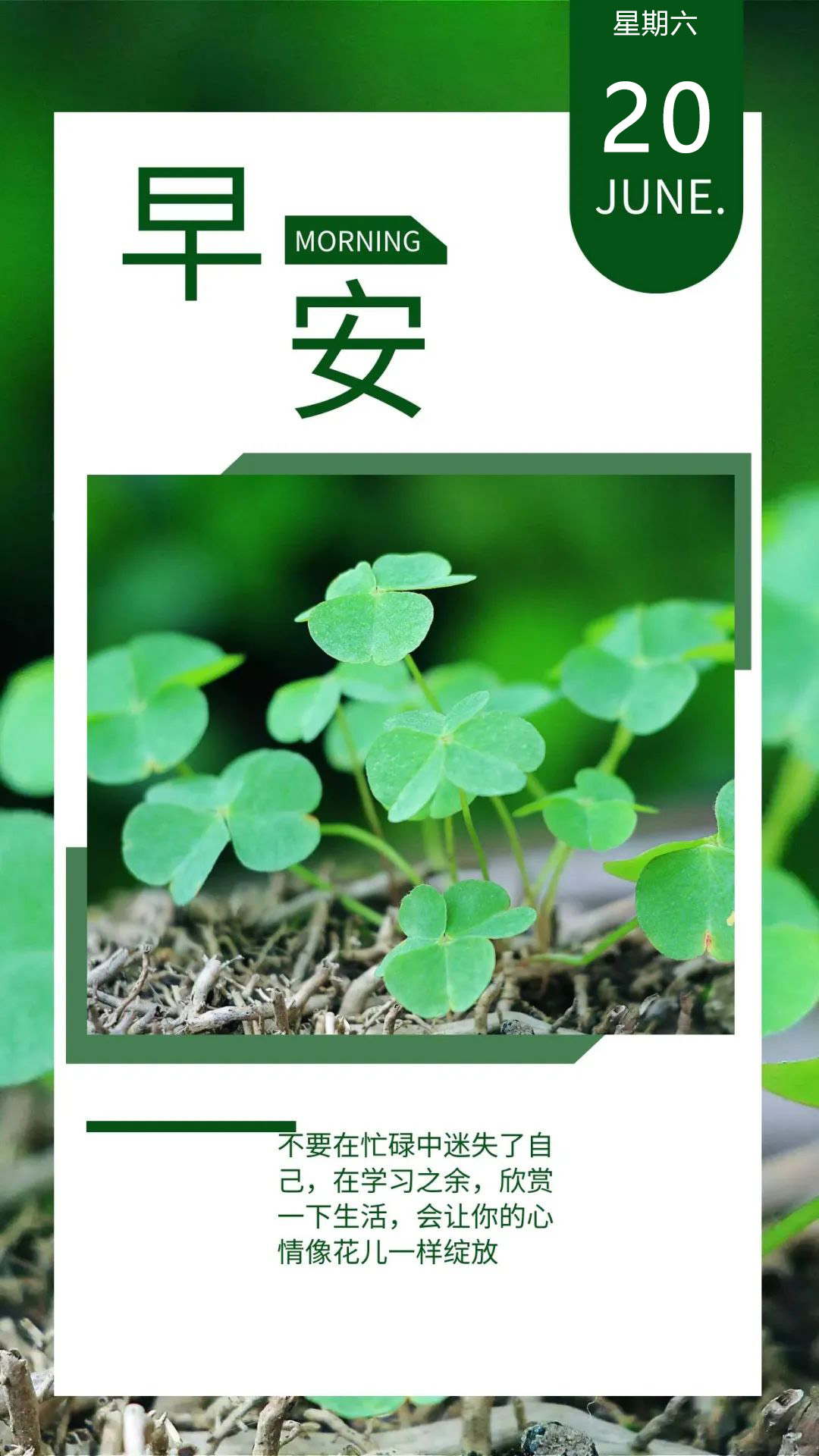 周末早上好正能量文字图片：勇敢迎接风霜雨雪洗礼，在磨练中不断成长