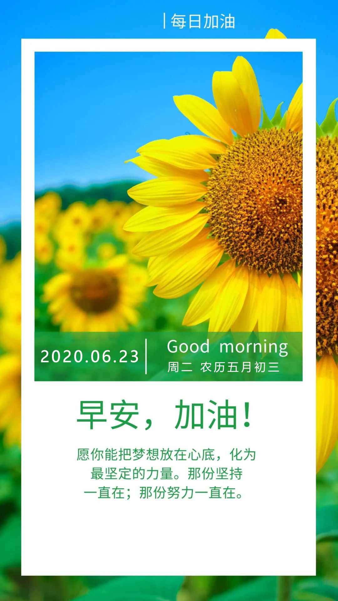 积极向上的话语图片：若竭尽全力追寻过，便不再渴求