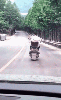 爆笑GIF图：有这样的弟弟，迟早得死到他手里