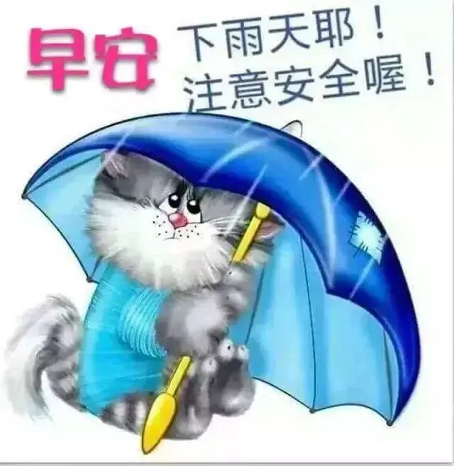 下雨天的祝福短语祝词短句