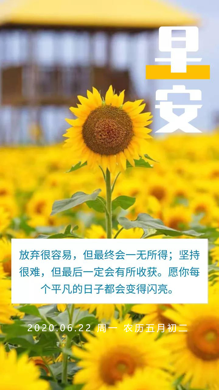新一周早晨图片日签正能量文字：有拼搏、有感悟的人生