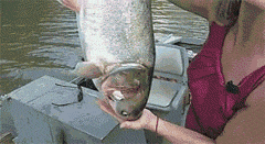 爆笑GIF图片：一条鱼带来的艳遇，大爷开心的笑啦